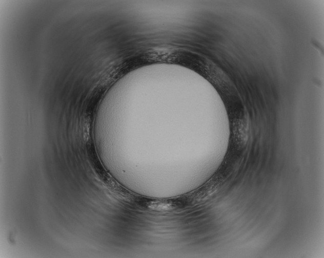 X0000097880602200804041615