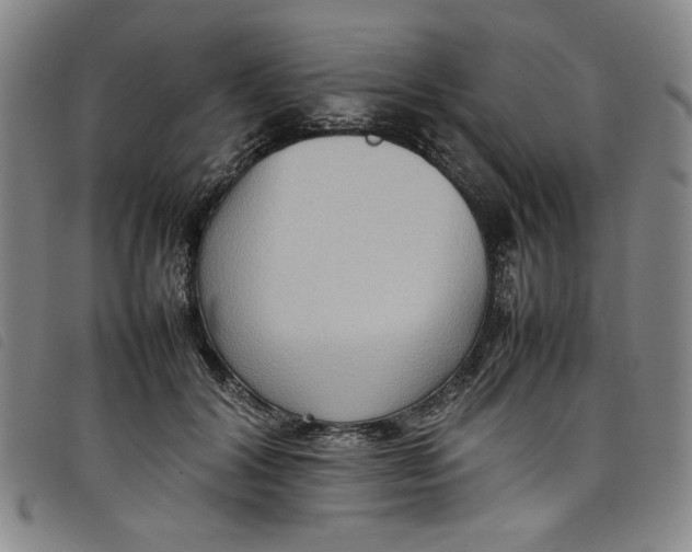 X0000097880604200804041615