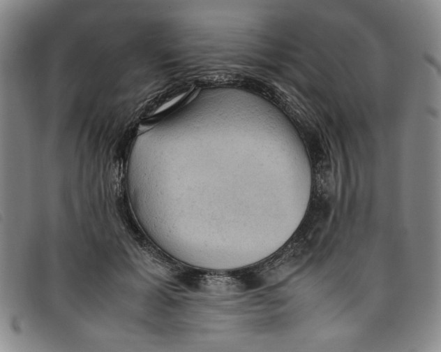 X0000097880605200804041615