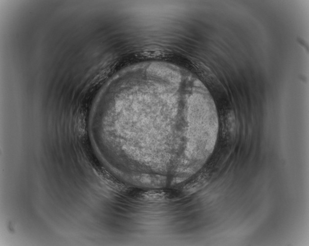 X0000097880606200804041615