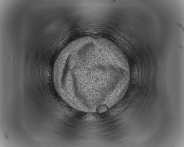 X0000097880608200804041615