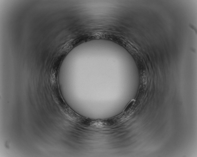 X0000097880611200804041615