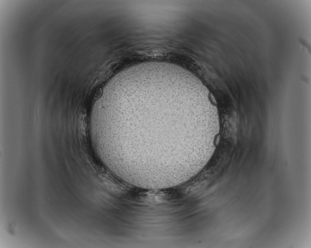 X0000097880612200804041615