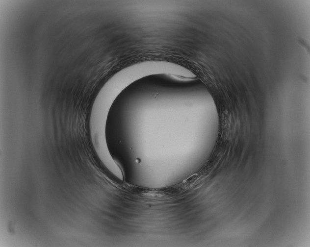 X0000097880614200804041615