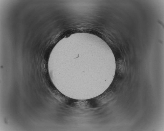 X0000097880615200804041615