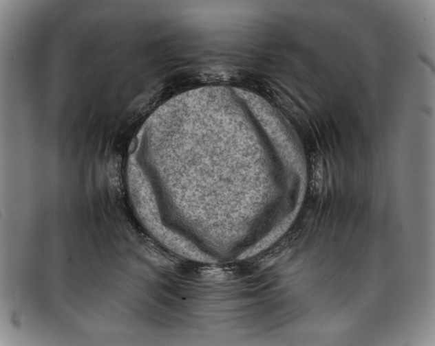 X0000097880616200804041615