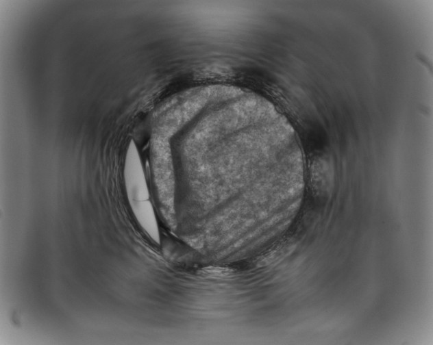 X0000097880617200804041615