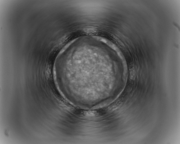 X0000097880618200804041615