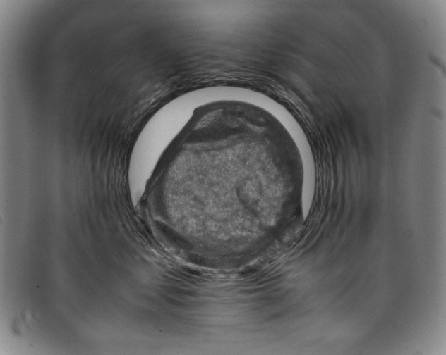 X0000097880621200804041615