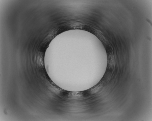 X0000097880622200804041615