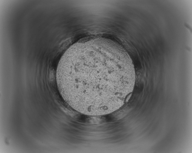 X0000097880623200804041615