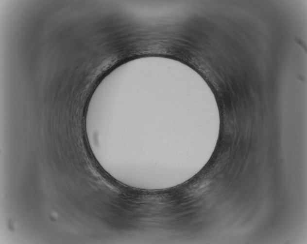 X0000097880625200804041614