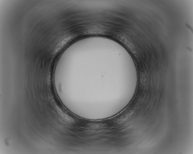 X0000097880629200804041614