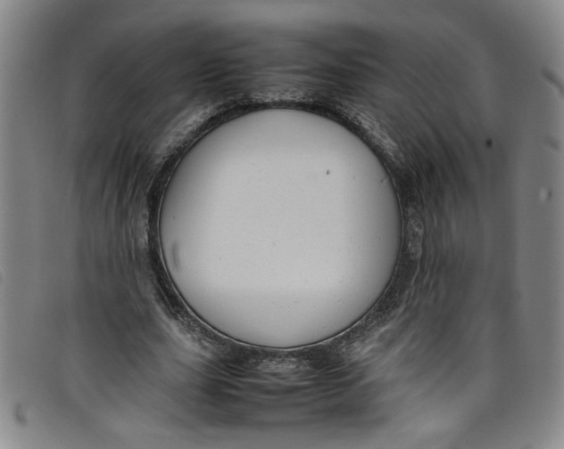 X0000097880631200804041614