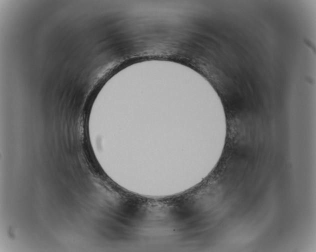 X0000097880632200804041614