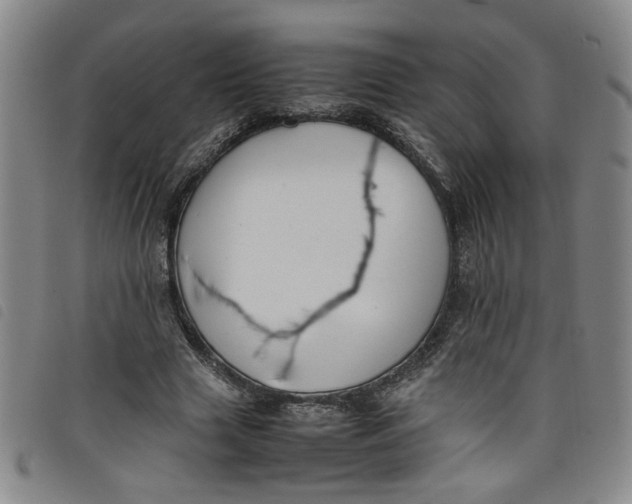 X0000097880633200804041614