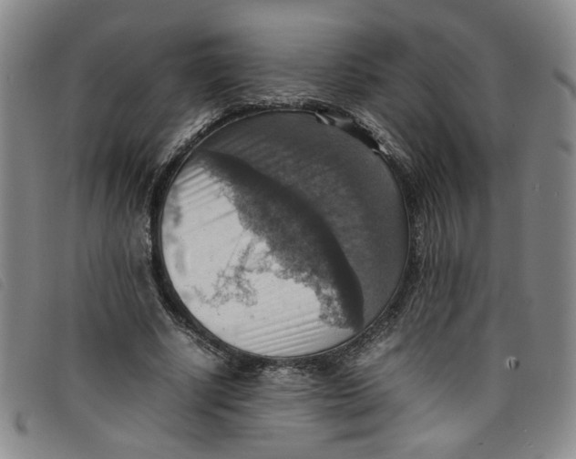 X0000097880634200804041614