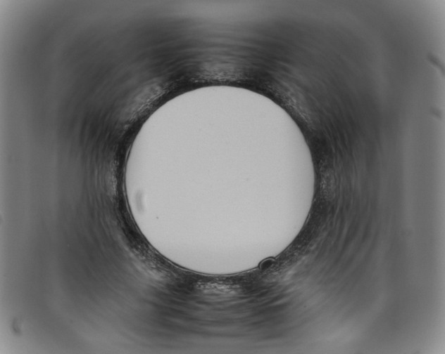 X0000097880635200804041614