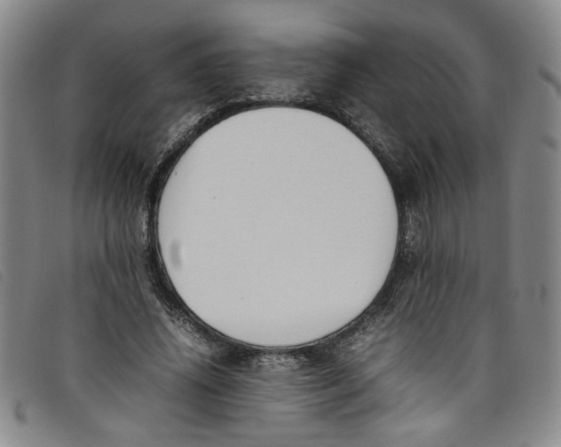 X0000097880636200804041614