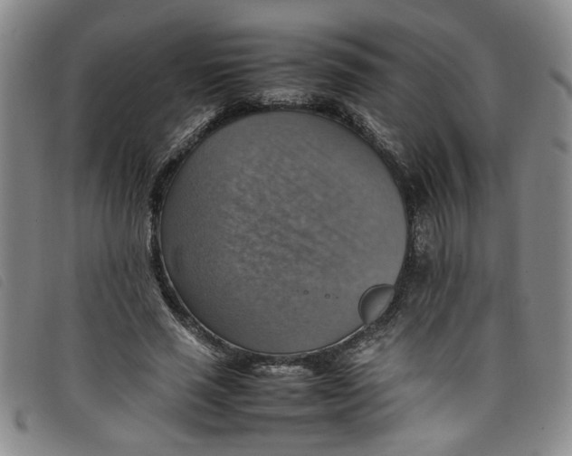 X0000097880637200804041614