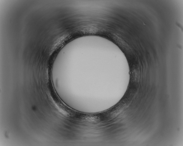 X0000097880638200804041614