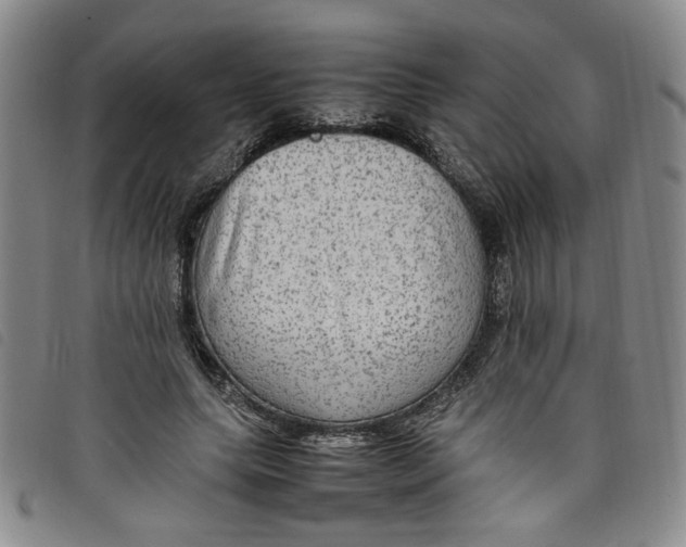 X0000097880639200804041614