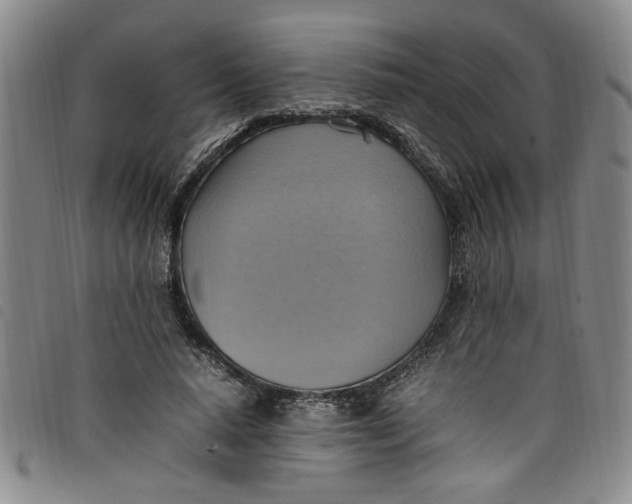 X0000097880640200804041615