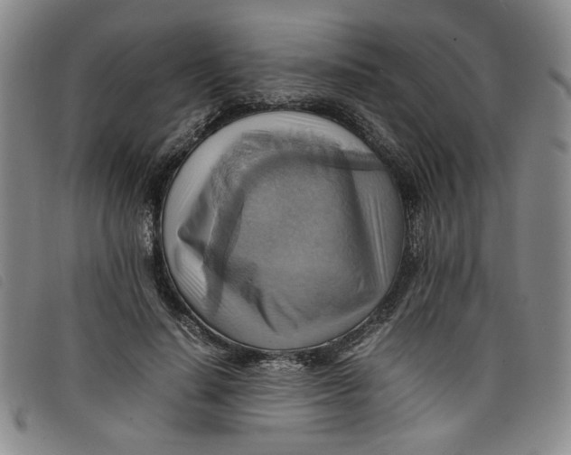 X0000097880644200804041615