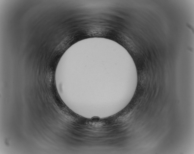 X0000097880645200804041615