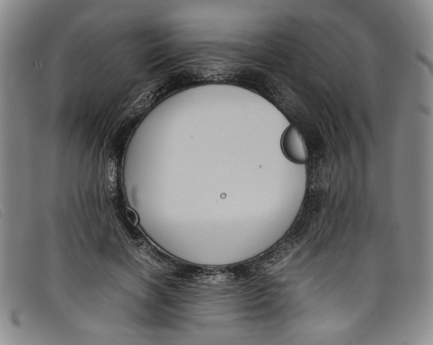 X0000097880646200804041615