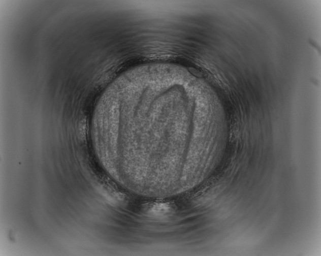 X0000097880647200804041615