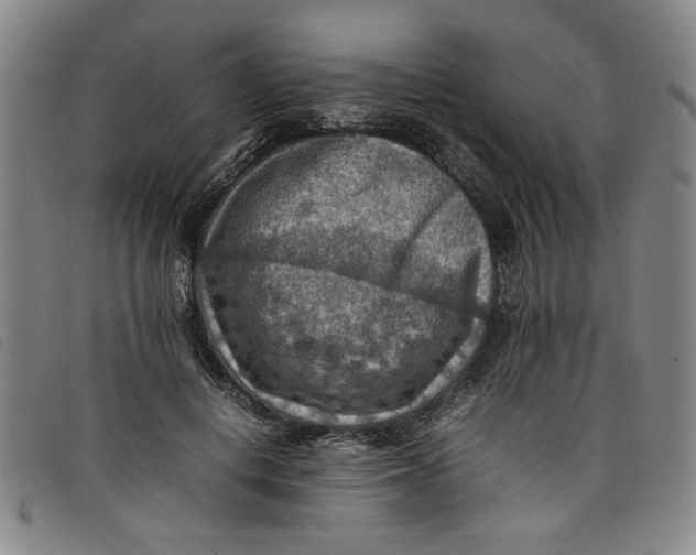 X0000097880648200804041615