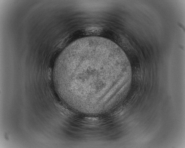 X0000097880649200804041615