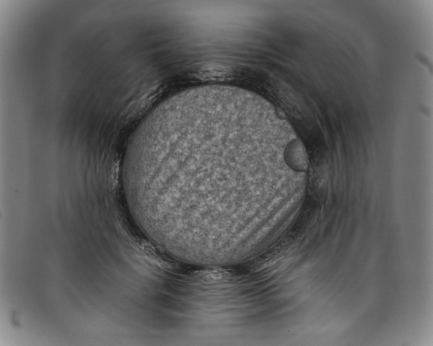 X0000097880652200804041615