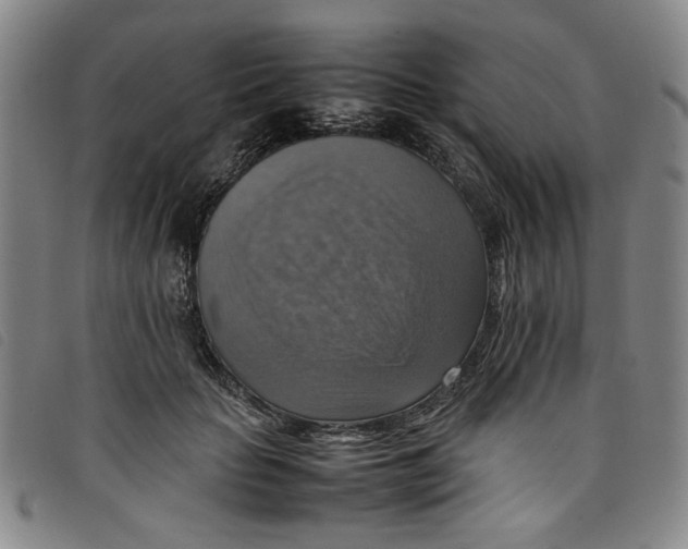 X0000097880653200804041615