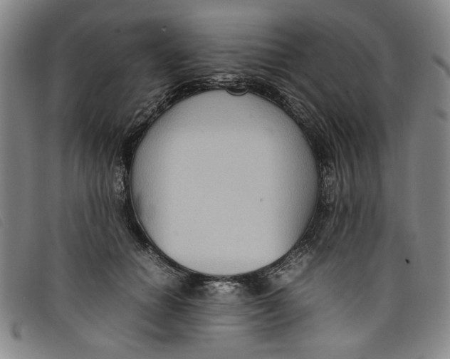 X0000097880654200804041615