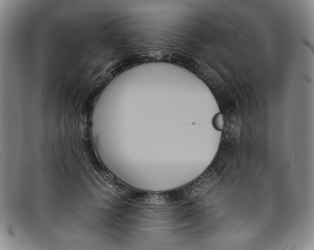 X0000097880656200804041615