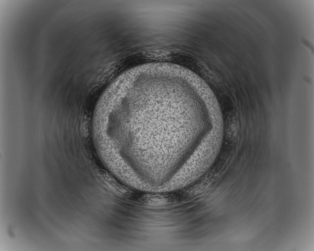 X0000097880658200804041615