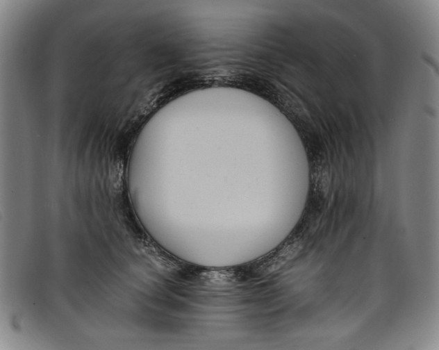 X0000097880660200804041615