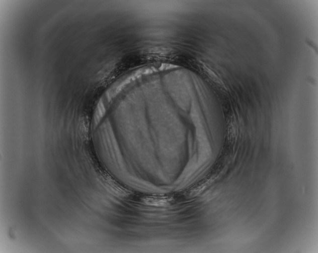 X0000097880661200804041615