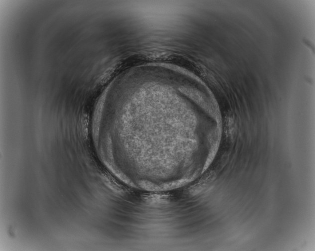 X0000097880664200804041615