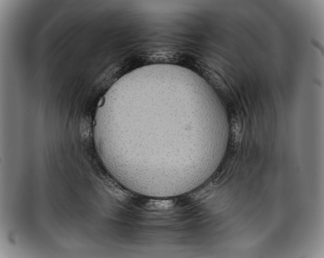 X0000097880665200804041615