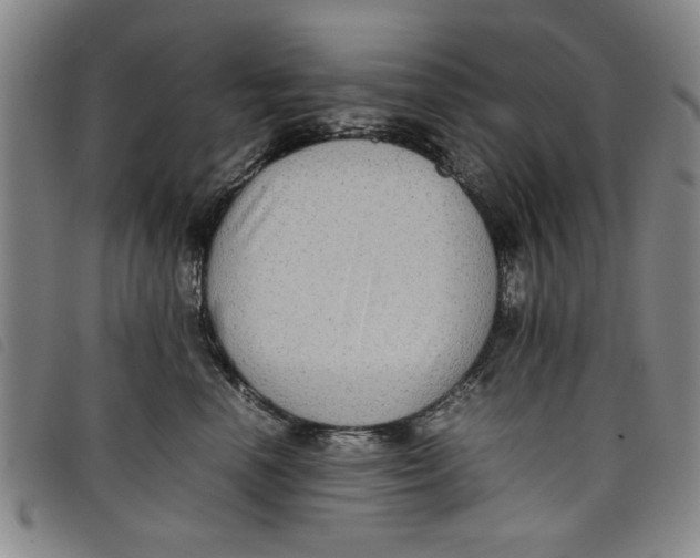 X0000097880666200804041615