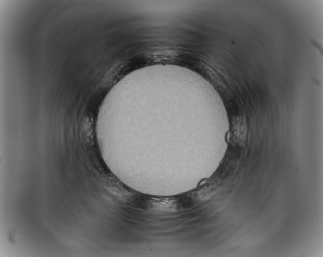 X0000097880667200804041615