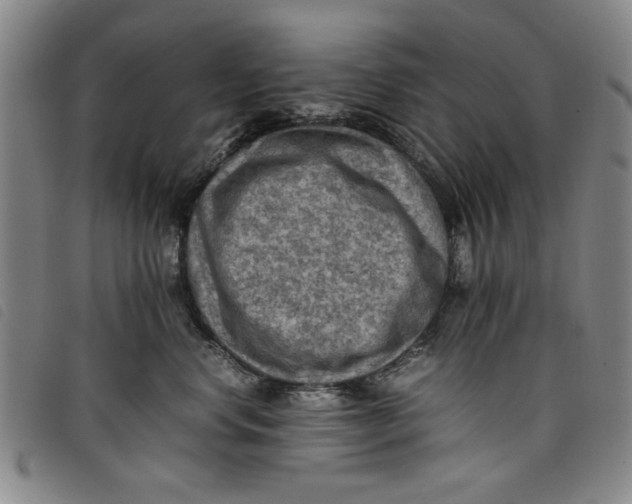 X0000097880668200804041615