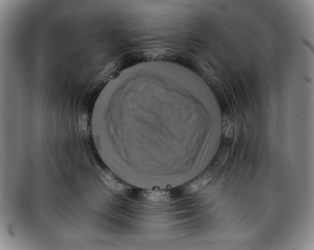 X0000097880670200804041615