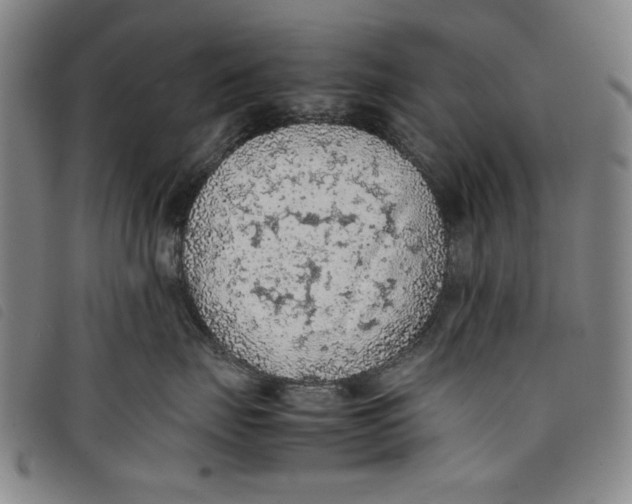 X0000097880671200804041615