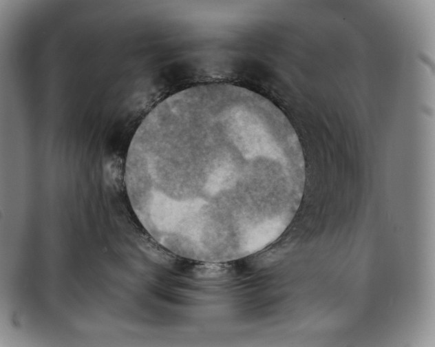 X0000097880672200804041615