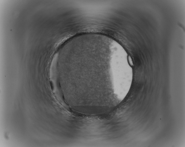 X0000097880673200804041614