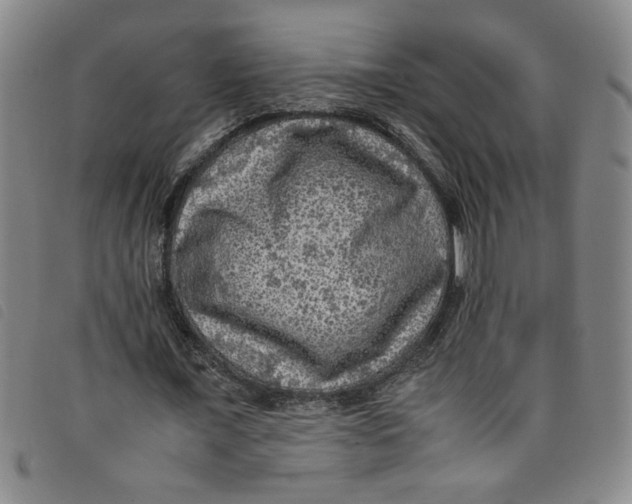 X0000097880675200804041614